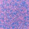 Cotton Candy Flavored Sanding Sugar | Sweet Dreams Fluffy Clouds of Flavor | RAHEEV®